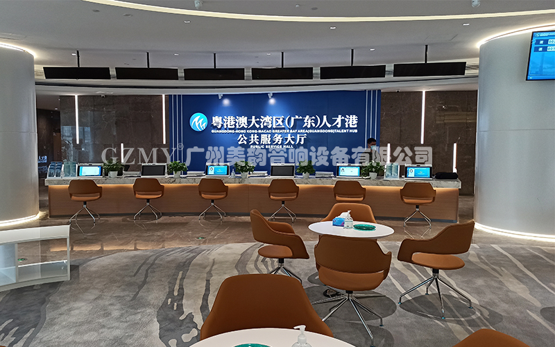 粵港(gang)澳大灣區（廣東(dong)）人(ren)才(cai)港(gang)